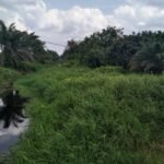 2fc4cb8e 47a1 4605 bbdd 68c26e551a42