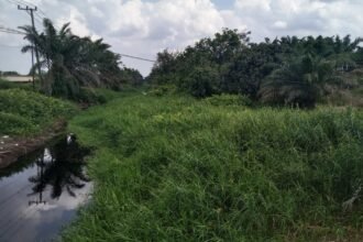 2fc4cb8e 47a1 4605 bbdd 68c26e551a42