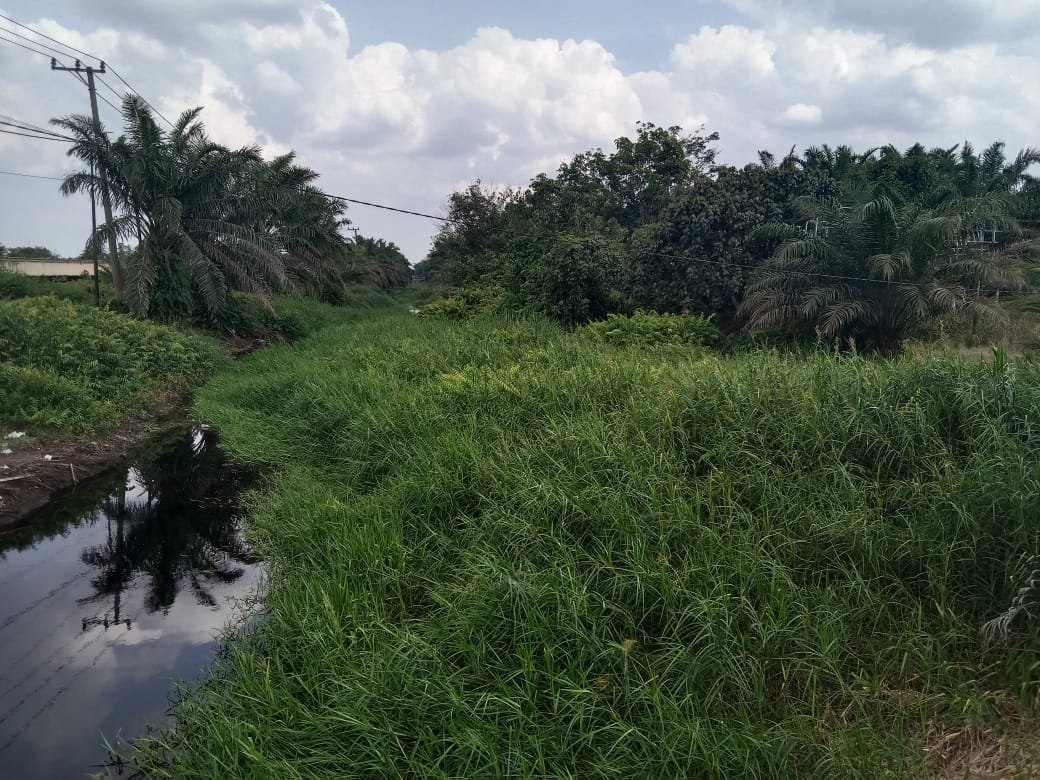 Gubernur Kalteng Tinjau Sungai kanal kiri kanan jalan menuju Pangkalan Bun Kotawaringin Lama. 2fc4cb8e 47a1 4605 bbdd 68c26e551a42