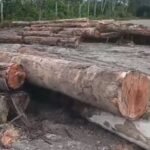 88975c8f fa5f 4976 9a34 6c90f502e6ce