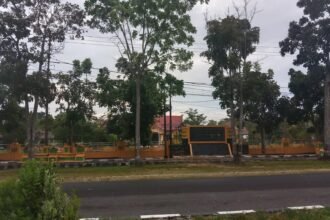 img 20260612 wa0003