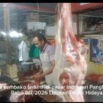 img 20260708 wa0148(1)