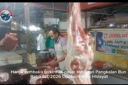img 20260708 wa0148(1)