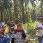img 20260709 wa0021
