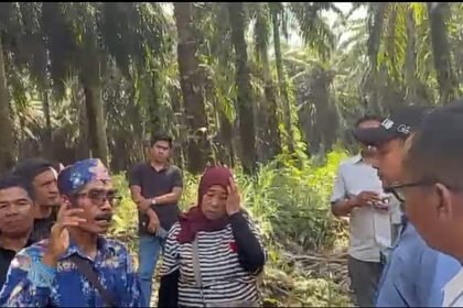 img 20260709 wa0021