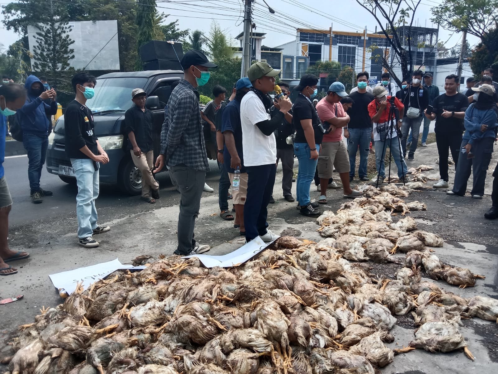 Aksi Lempar Bangkai Ayam di Kantor PLN UP3 Palangka Raya, Peternak Protes Pemadaman Listrik Bergilir img 20260729 wa0037
