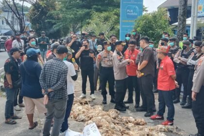 Peternak Ayam Kalteng Rugi Ratusan Juta Akibat Pemadaman Listrik Berulang img 20260729 wa0044