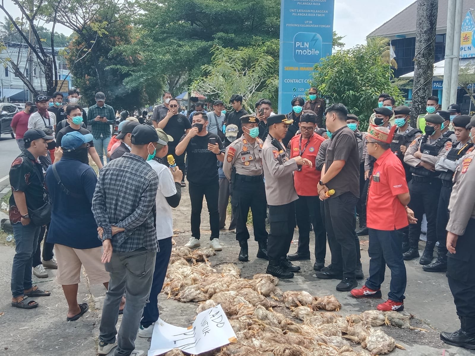 Peternak Ayam Kalteng Rugi Ratusan Juta Akibat Pemadaman Listrik Berulang img 20260729 wa0044