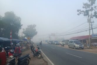 Kabut Asap Selimuti Kota Palangka Raya, Warga Harapkan Perhatian Pemerintah img 20260818 wa0012