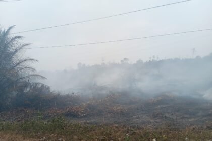 Karhutla Mandawai Seberang Meluas, Personel Maksimal, Sumber Air Jadi Kendala img 20260916 wa0001