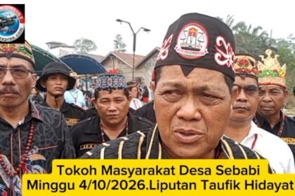 img 20261004 wa0117