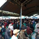img 20261007 wa0030