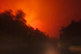 TNI Kerahkan 300 Personel, Upaya Pemadaman Karhutla di TNTP Terus Digenjot img 20261017 wa0070
