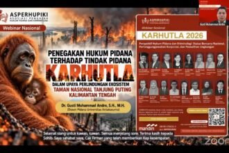 img 20261019 wa0172